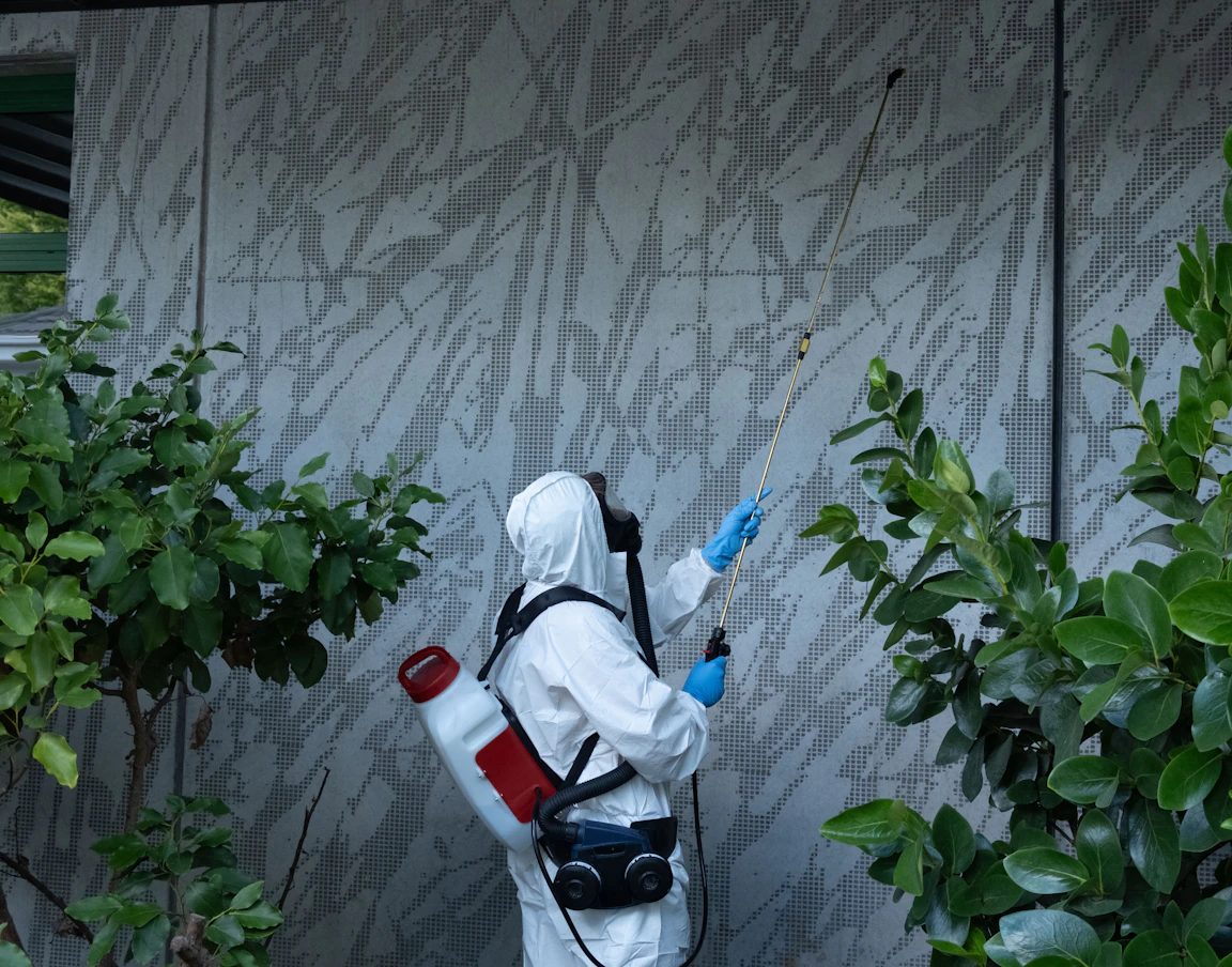 Get an out of this world clean with Jani-King | Jani-King
